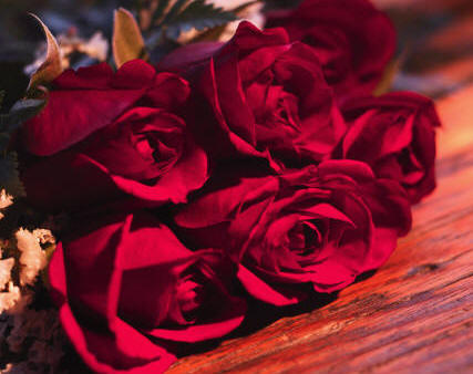 valentine-roses-g